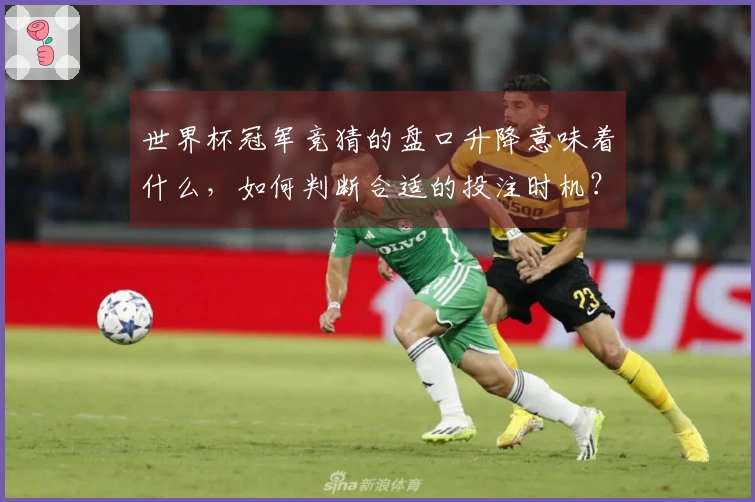 世界杯冠军竞猜的盘口升降意味着什么，如何判断合适的投注时机？