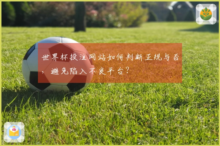 世界杯投注网站如何判断正规与否，避免陷入不良平台？