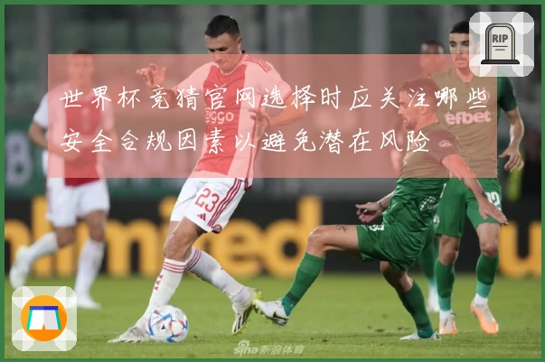 世界杯竞猜官网选择时应关注哪些安全合规因素以避免潜在风险