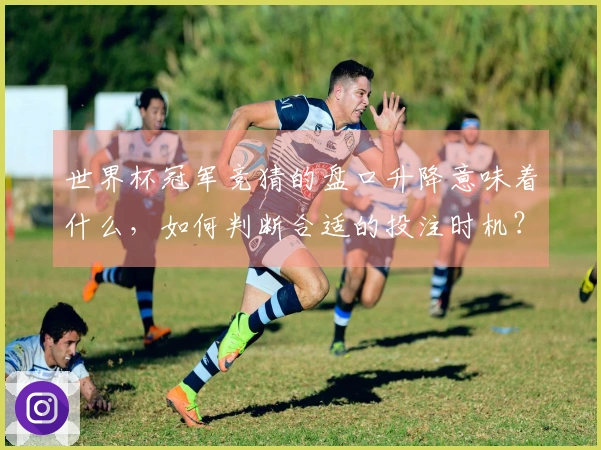 世界杯冠军竞猜的盘口升降意味着什么，如何判断合适的投注时机？