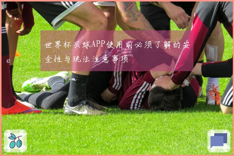 世界杯买球APP使用前必须了解的安全性与玩法注意事项
